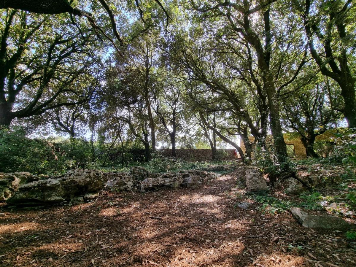 Agriturismo Iazzo Scagno Martina Franca Eksteriør billede