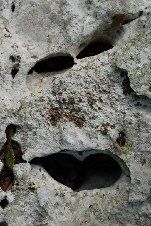 Agriturismo Iazzo Scagno Martina Franca Eksteriør billede
