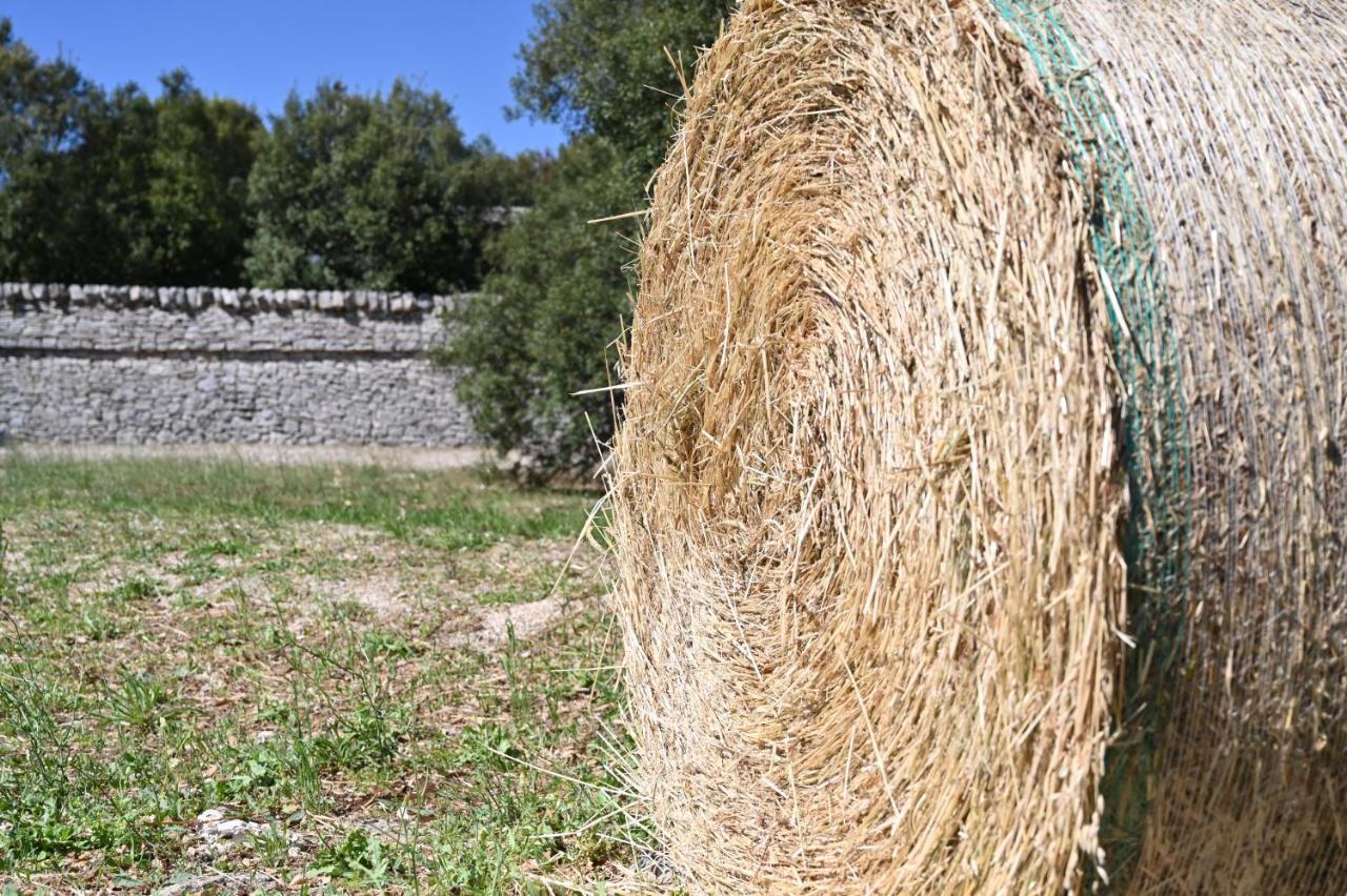 Agriturismo Iazzo Scagno Martina Franca Eksteriør billede